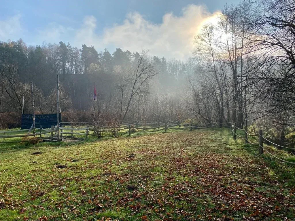 Dzieci podczas wycieczki szkolnej w Arenie Mocy
